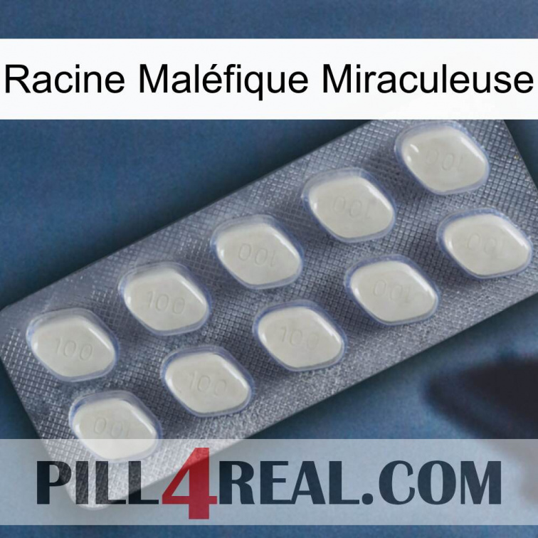 Racine Maléfique Miraculeuse 08